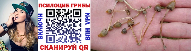 Галлюциногенные грибы прущие грибы  цена   Нарткала 