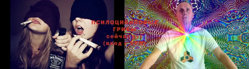 Псилоцибиновые грибы MAGIC MUSHROOMS  мега ТОР  даркнет какой сайт  Нарткала 